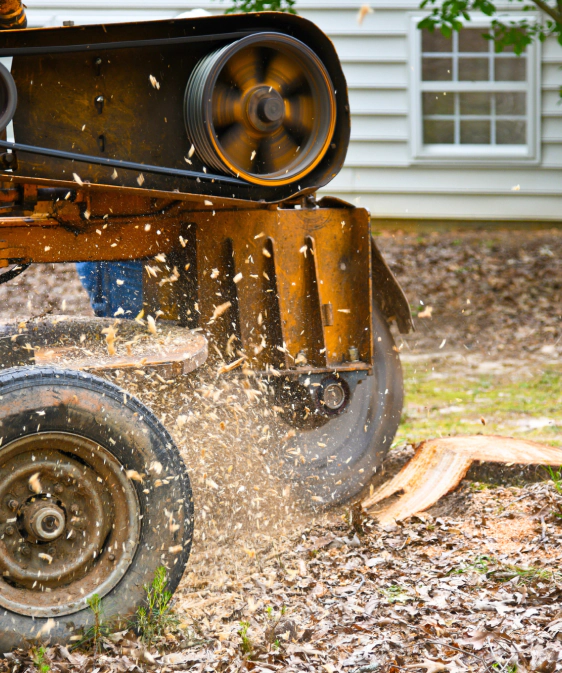 Stump Grinding